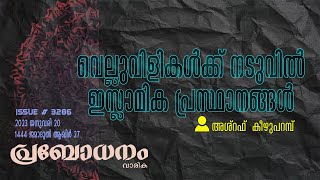 വെല്ലുവിളികൾക്ക് നടുവിൽ ഇസ്‌ലാമിക പ്രസ്ഥാനങ്ങൾ