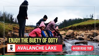 ഊട്ടിയുടെ പ്രകൃതി ഭംഗി ആസ്വദിച്ച്  അവലാഞ്ചെ lake ലേക്കുള്ള യാത്ര