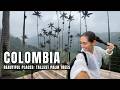 Tallest Palm Trees in the World 🌴 Hiking Cocora Valley, Colombia!