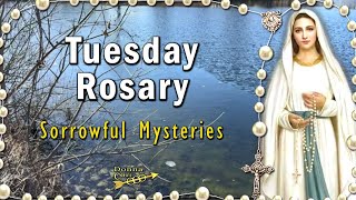 TODAY's DAILY HOLY ROSARY Tuesday 🙏 Sorrowful Mysteries Rosary, JANUARY 14, 2025 Half Frozen Lake