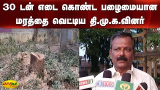 30 டன் எடை கொண்ட பழைமையான மரத்தை வெட்டிய தி.மு.க.வினர் | Kovai | Tree Cutting | DMK Atrocities