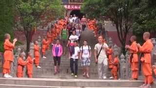 Project Week 2015 - Fawang Temple trip