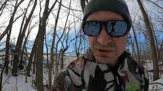 Scouting Buck Beds on Public Land in Winter