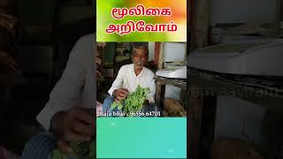 மூட்டு வலி | வாதமடக்கி | தழுதாழை  #shorts #mooligai #vathamadakki