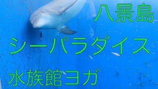 【水族館 ヨガ】八景島シーパラダイスで水族館ヨガ【ドルフィンファンタジー】