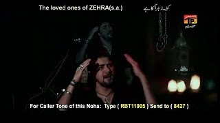Bazar Bhulda Nahi|Noha|Farhan Ali Waris