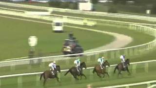 2011 Juddmonte International Stakes - Twive Over / Midday