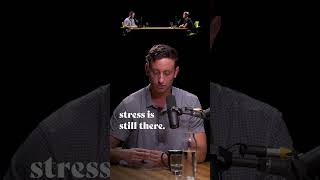 Stress Management | Dr. Kyle Gillett