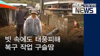 [뉴스리포트] 빗속에도 태풍 피해 복구작업 구슬땀 191005