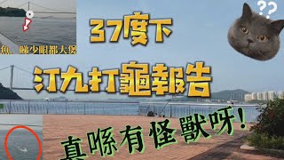 香港步兵釣魚/岸釣/打沉底/遠投/投釣/香港釣點/釣魚日記 / 釣點分享/汀九釣魚/麗都灣釣魚