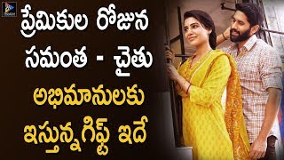 #SamChai Gave Special Gift To Their Fans For This Valentines Day | Majili Movie | Telugu Full Screen