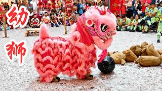 节前首场幼獅观摩賽 @ 八打灵再也佰乐泰购物中心 / Kid Lion Dance @ Paradigm Mall Petaling Jaya