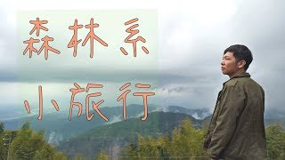 雲林旅遊🚌古坑草嶺石壁森林療癒小旅行 | Yunlin Tourism