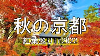 【1日でまわる】電車とバスで移動する 京都の紅葉🍁南禅寺｜永観堂｜東寺