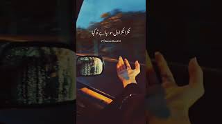 Tere Siwa Kaun Mera || Pakistani New Darama Status || Urdu Lyrical Song🥰