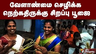 கன்னியாகுமரியில் களைகட்டிய நிறைபுத்தரிசி பூஜை | PTT