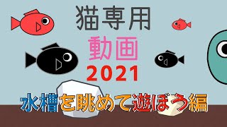 猫専用動画 2021 cat game for cat. 水槽を眺めて遊ぼう編　効果音なし