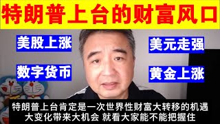 翟山鹰：特朗普上台带来的世界财富风口丨美股丨美元丨数字货币丨黄金