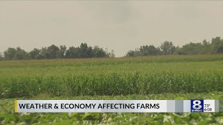 Farmers continue to face problems head-on in New York