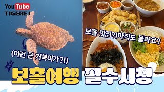 보홀 여행 TIP. 필수시청 호핑투어 맛집 마트 과일집 소개