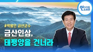 [#OBS×#금산군] 인사이드 스토리 175회 박범인 금산군수 금산인삼, 태평양을 건너라