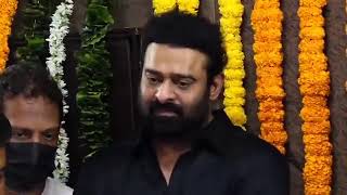 పెద్దన్నన్న లేడు-కానీ మేము ఉన్నాం మీకు | Prabhas | Minister Thalasani | News Trend |