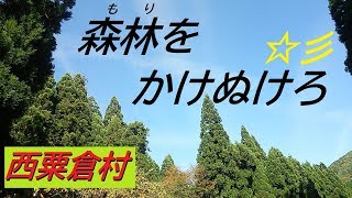 【にしあわくライフ】林道ドライブ「森林をかけぬけろ」