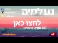 נעלמים הרגעים הגדולים שאולי ודניאלה מעסיקים את חדווה ניקלודיאון