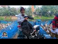 ঢাকার হাটে রাজ হাঁসের দাম meradiya hat village market in bangladesh live village