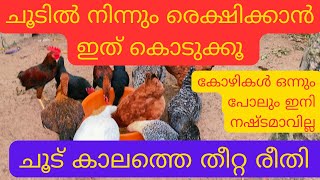 Kozhi valarthal || ചൂട് സമയത്ത് കോഴികൾക്ക് ഇങ്ങനെ തീറ്റ കൊടുത്താൽ  കോഴികൾ ഒന്നും നഷ്‌ടമാവില്ല 🐓🐣