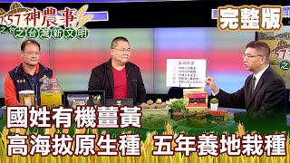 國姓有機薑黃 高海拔原生種 五年養地栽種《57神農事》完整版 胡忠信 葉榮鑫 20201216