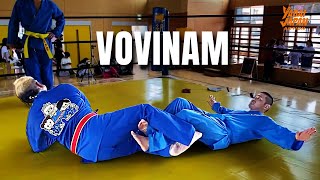 What is "Vovinam", the Vietnamese Martial Art?