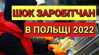 ШОК для Заробітчан | Які Працюють в Польщі по Умові о Злеценія 2022