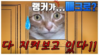 [율무TV] 매크로 (메크로) 쓰다 딱걸린 랭커!! 쟁겜 너무 쉽게하려는거 아냐?? r2m 알투