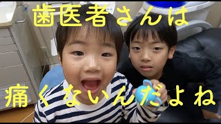 歯医者さんは痛くないんだよねー💛はみがき練習も上手になってきました‼️｜予防歯科　原歯科医院【調布市・八雲台・布田駅】