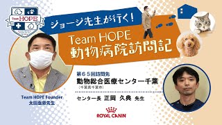 【動物総合医療センター千葉】ジョージ先生が行く！ Team HOPE 動物病院訪問記