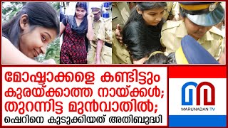 കാരണവര്‍ കേസില്‍ ഷെറിനെ 14 വര്‍ഷം മുമ്പ് കുടുക്കിയത് അതിബുദ്ധി  I  karanavar - sherin case