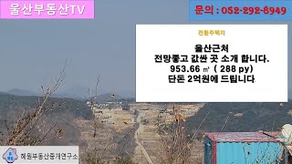 [울산부동산TV] 울산에 접근성이 좋고 값싼 전원주택지 3.3㎡ 당 70만원 에 드립니다.