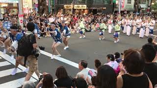 第62回東京高円寺阿波おどり（2018/8/26） 葵新連@中央演舞場