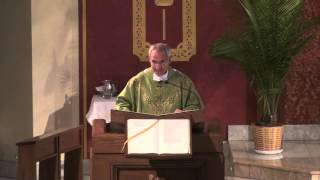 18th Sunday of Ordinary Time (Year C) - Fr. Hahn