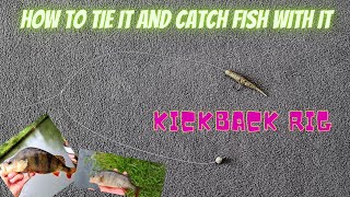 Kickback rig and how to catch perch with it. Grand Union Canal