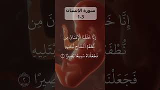 The MOST POWERFUL Surah Al-Insaan 1-3 Recitation EVER