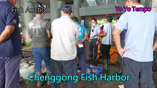 Taitung County Chenggong Fish Harbor  -  Fish Auction