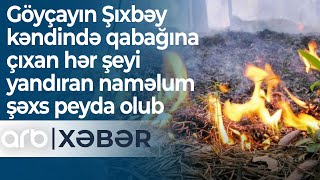 Göyçayın Şıxbəy kəndində qabağına çıxan hər şeyi yandıran naməlum şəxs peyda olub - ARB Xəbər