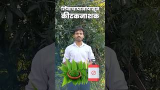 निंबाच्या पानांपासून तयार करा नैसर्गिक कीटकनाशक! 🌿