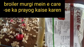 broiler farming ### e care-se ke prayog ka Sahi tarika upyog ki Sahi matra