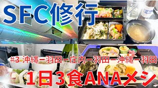 1日3食ANAメシ(╹◡╹)これがバリュートランジット活用修行!!🔥 【2022年SFC修行記#3】