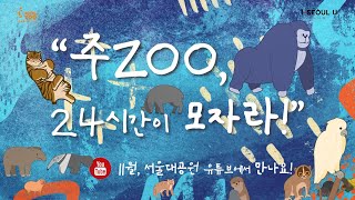 영상으로 떠나는 동물원 캠프🎒 「주ZOO, 24시간이 모자라!」 미리보기!