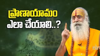 How to do pranayama..? | How to do Pranayama | 108 Years Baba and Ravi Sastry @SreeNiraviAstro