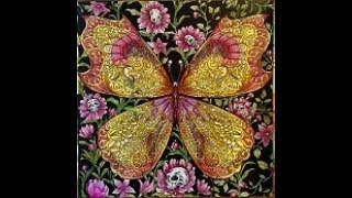 Fantomorphia -Book Finished!